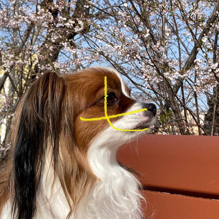 4469abb8 07ba 4085 aad8 8d1f8d6b8222 1686182287656