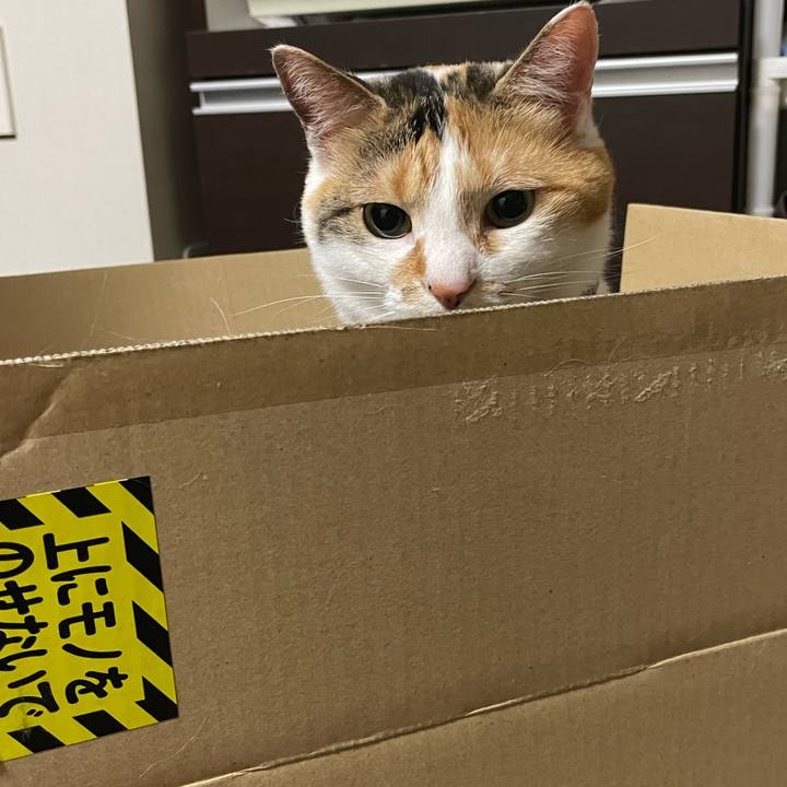 4469c244 e5f2 4708 bf3e a8e2ebd3ae42 1716386107328