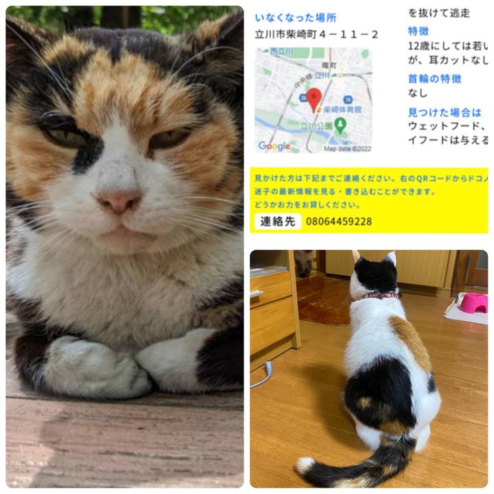 4469faf5 2b8a 4a68 9091 2d97316b9886 1655932638035