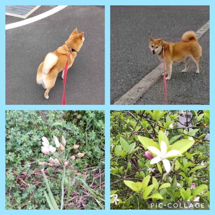 446a2e0a 2e7a 402a b911 39b94d1ab2b5 1747350012621