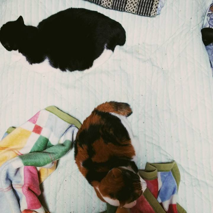 446a5363 39d2 4dd0 afb0 4b8c452a805b 1539557890493