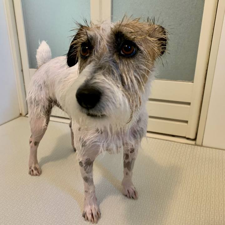 446a6640 b6a2 4e17 a15c b40315633aed 1667096511426