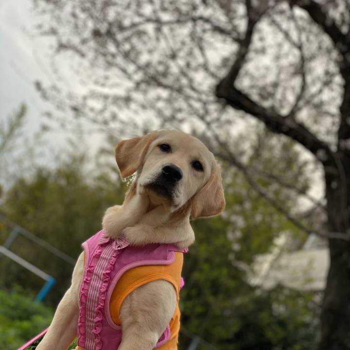 446a6cfc eb5f 4eae a704 fb7605455815 1616578573310