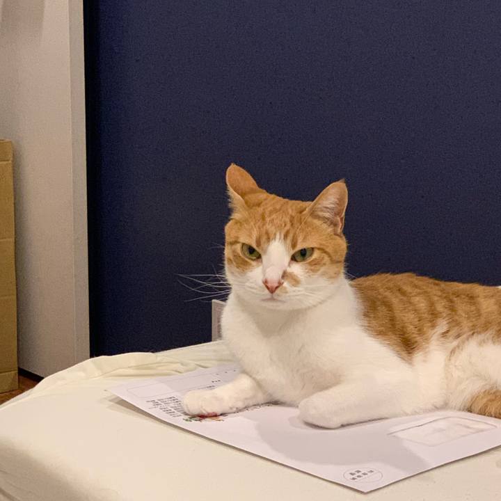 446a8069 3c79 45b2 92c0 7e0bbaa06d58 1629901916132