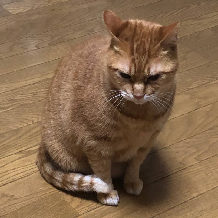 446a8b90 1f03 466d a275 fddf0ba33f5c 1730379947098