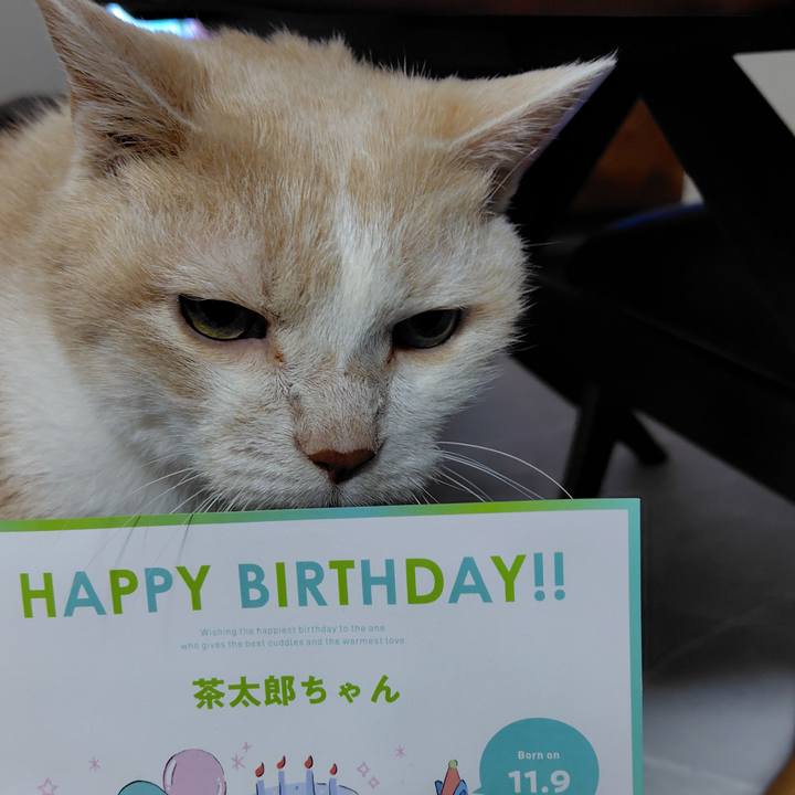 446a90e0 afcc 4029 a079 a48f9862fb93 1762694240225