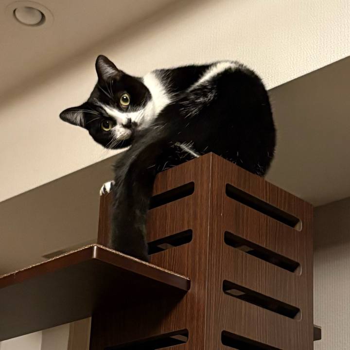 446ac570 2e28 49c9 9f63 8e5973bb7cff 1764466881237