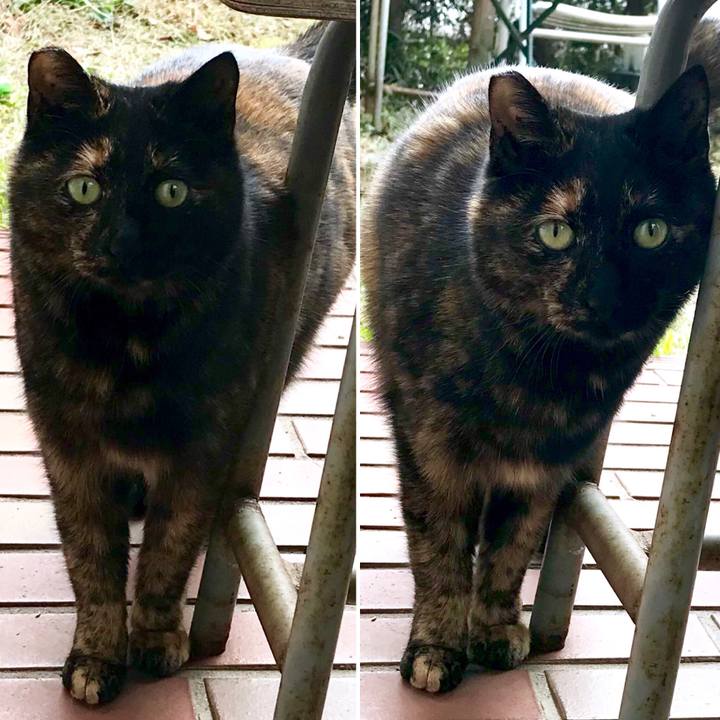 446ad8bf b924 4ff3 b481 446ad81b191c 1518756706491