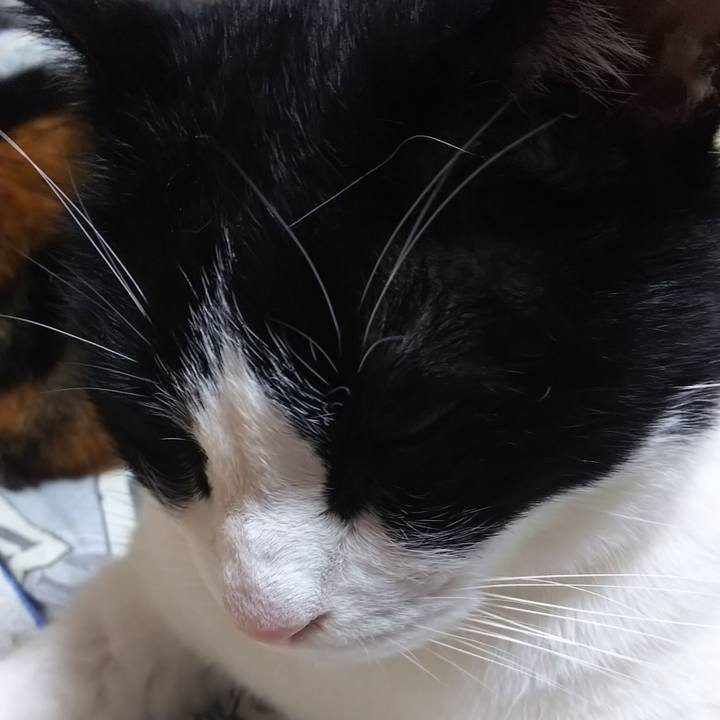 446b2a2b 9845 4590 b23a a95fdd48ebdb 1590578588550