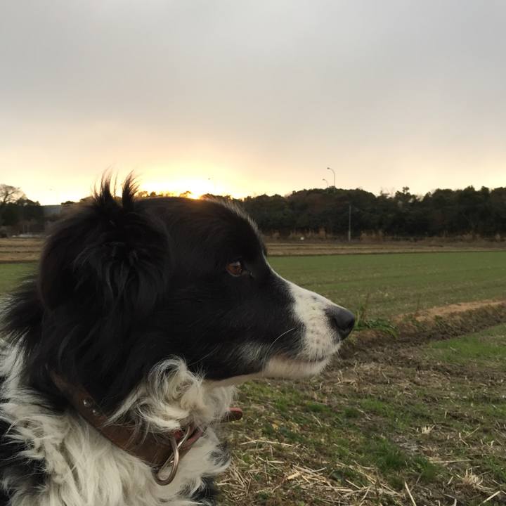 446b450f 1653 4ce0 b742 7826613bbd6e 1516834147342