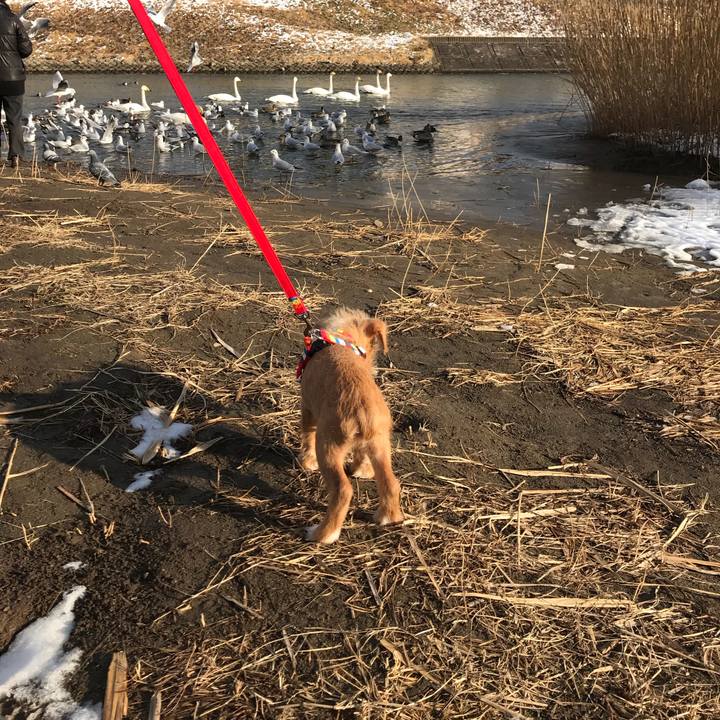 446b5155 6f2b 499b 9136 1854fdea21bc 1518597880735