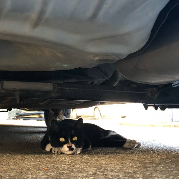 446b52d2 9ea5 499e ace4 306761b991a2 1534968492431