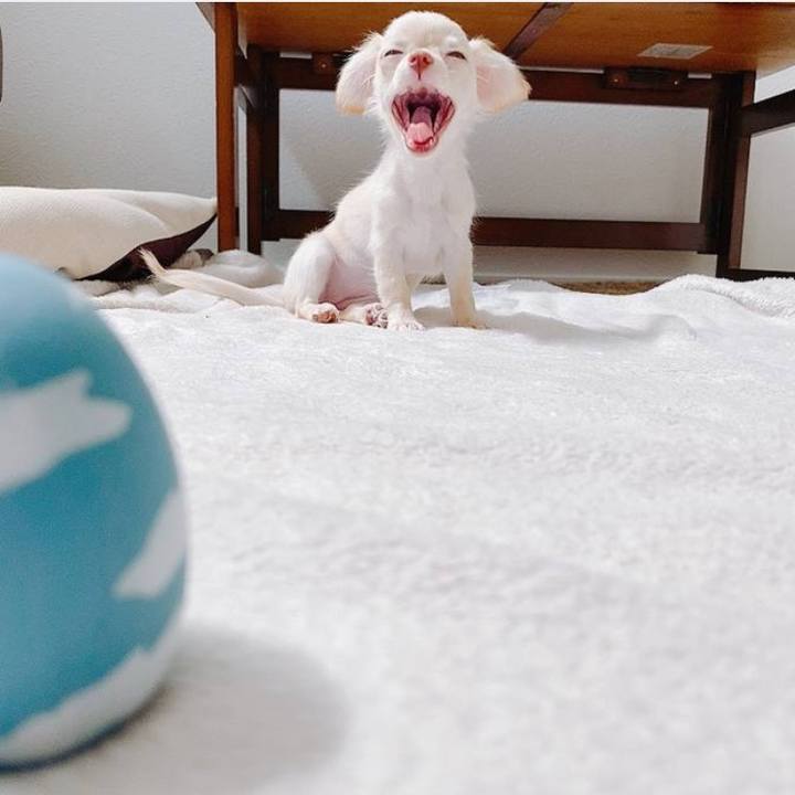 446b5ccf 87b1 4950 b9e1 1be95ef5c0b9 1615533424326