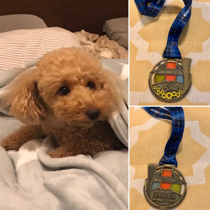 446b5cf4 c7cb 412a 9b1a e1f87d0b46d2 1573995506097