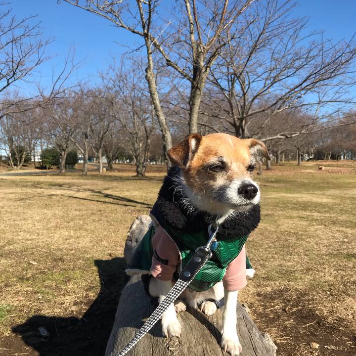 446b9a72 6b46 4230 be5c fba59f83402d 1546492196870