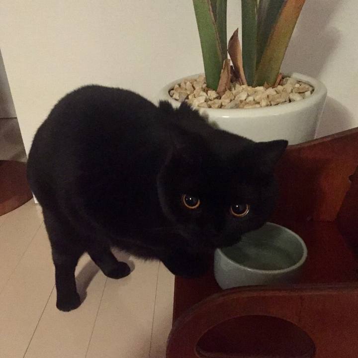 446bf8f1 adfb 42d2 b1e3 7a7239836477 1533818867170