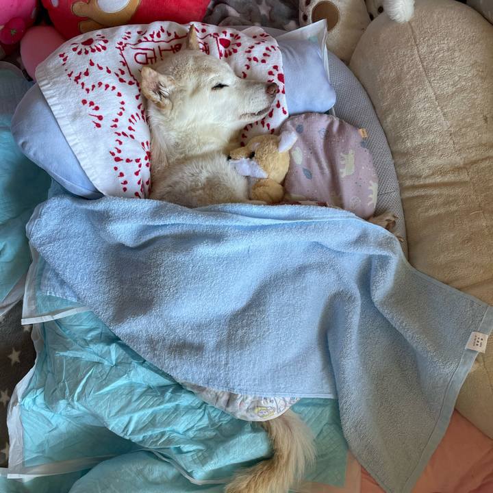 446bfdad 3df5 4559 a0de 61c2c64e9df6 1682988101385