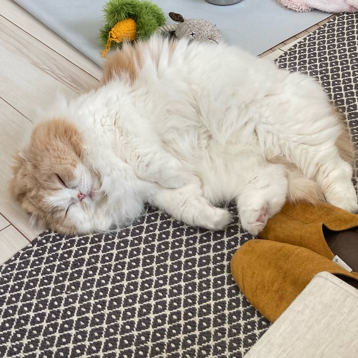 446c120b ae71 49a2 80c6 4a21c669f97c 1617456711757