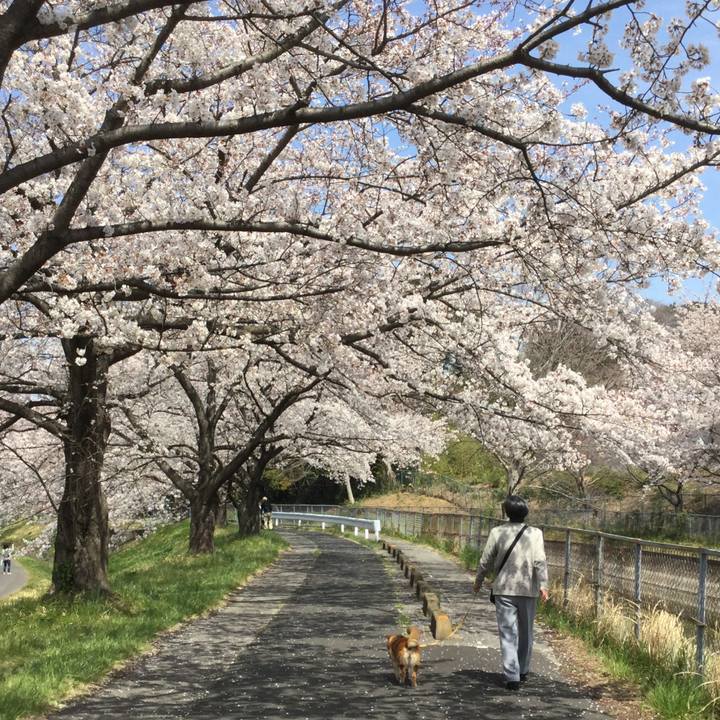 446c4564 c174 41d6 95a3 1c97e266ecd1 1554443894091