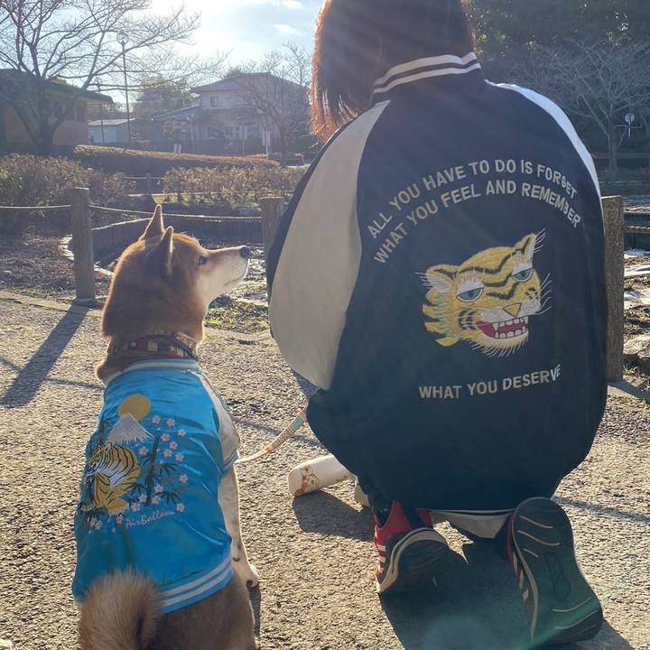 446c722a 5c78 49e8 927a 93eaf52d400e 1672494253398