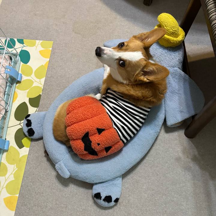 446c8d39 6458 4d9c baa1 396cfe43ed41 1761892871101