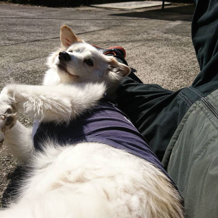 446cb18e 8018 4cdb 9b9c 62dc8745a2fe 1549371428411