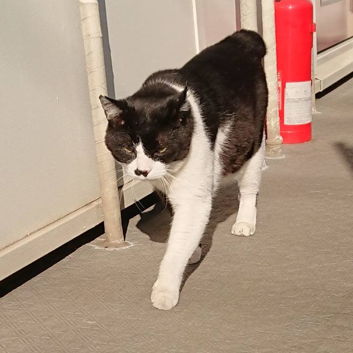 446ce557 4dfe 49ed bb8a cb31b36b696b 1528077724441