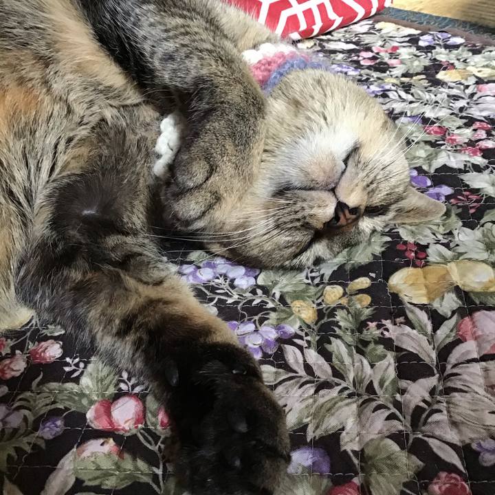 446d4328 4fbb 4c25 b166 000767f71ef9 1621036345845