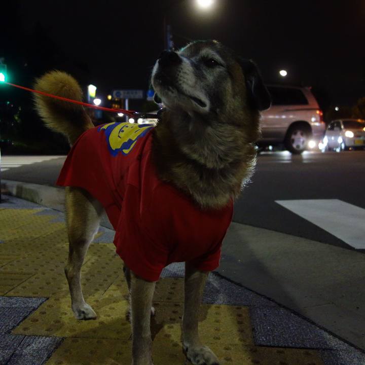 446d5266 9bcb 4c2b ab95 22da5f9a0c30 1571654282393