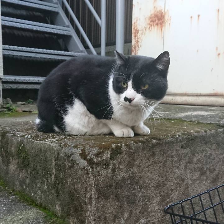 446d9ddd 54ca 47d9 8c11 b02db87c2c7c 1547610880504