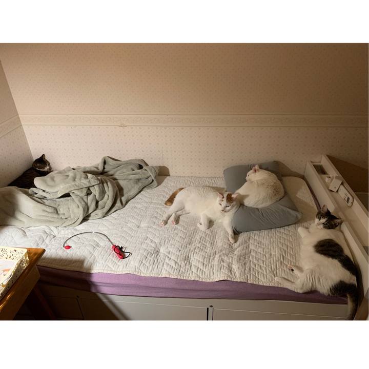 446db229 b355 4ec8 9b19 31792cc86a7f 1647613883176