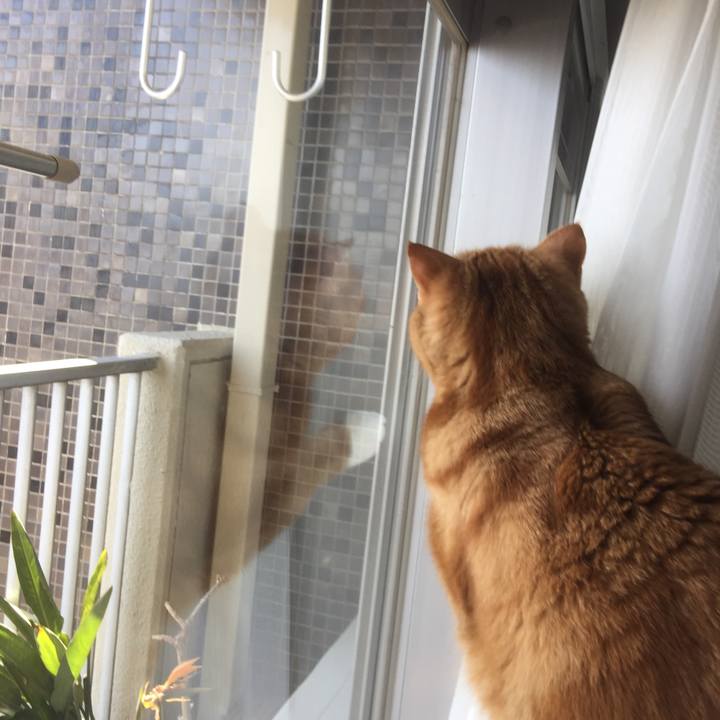 446dc22a f943 4a32 9b72 319490be0b31 1585972908477