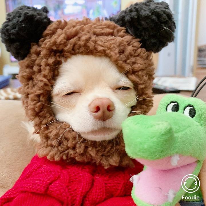 446dcaae 3116 4d1a a9a6 5da99721a827 1605438767772