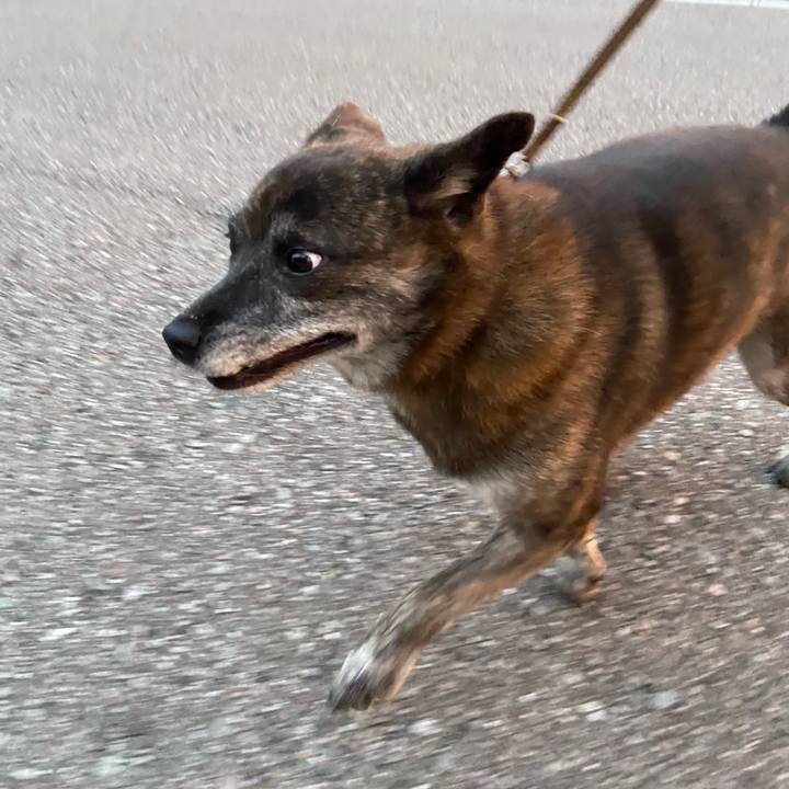 446de3f1 887f 4d2c 89b9 48a432dc9c8f 1602147294587