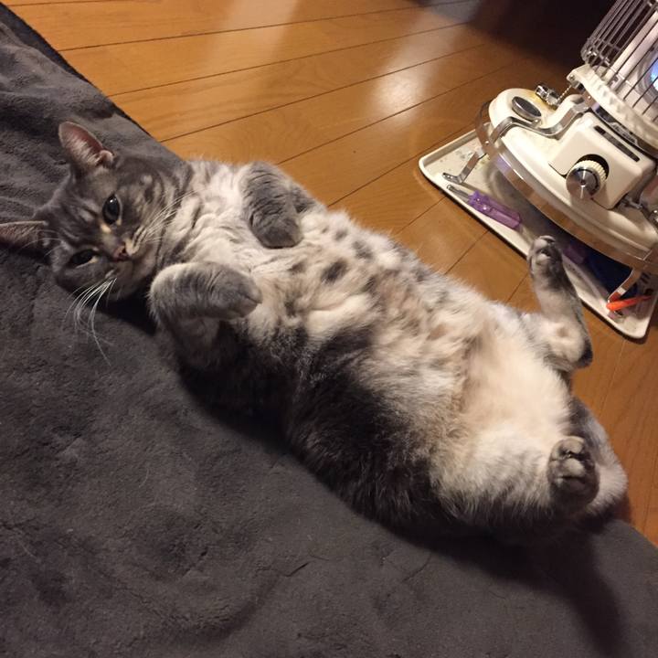 446df377 fb25 450d 99ff f3980db6b3c6 1521501380103