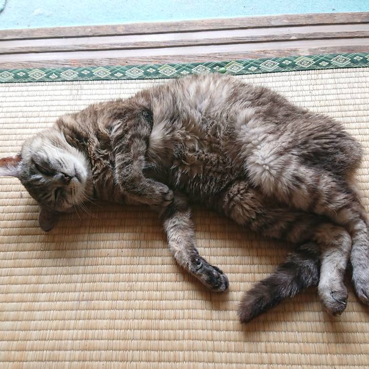 446df7d1 02db 4a2f a3fe da9adbf2f60f 1567821890675