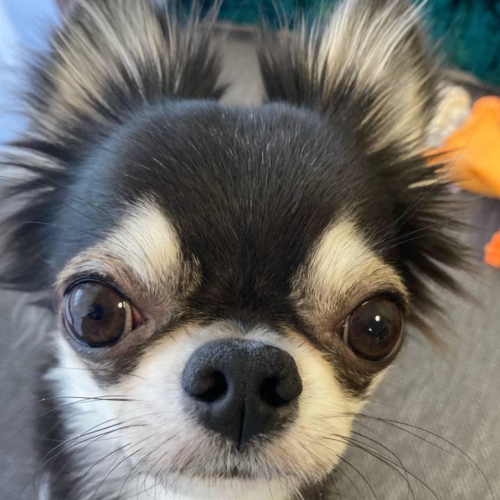 446e1846 6c0a 4076 9b64 b9ecf8dc0b1d 1638657367358