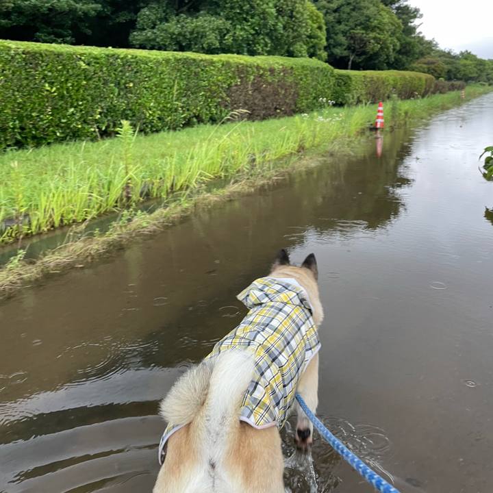 446e1e69 00ad 4064 8859 decba9ec2e59 1688206041725