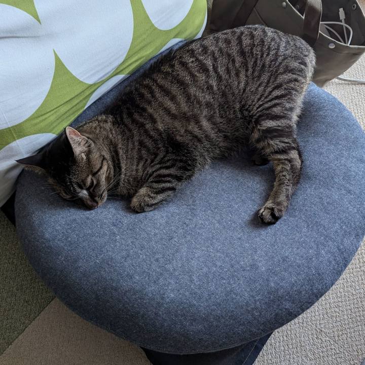 446e4017 8074 42b4 847c 126a02f8cef3 1723110454442