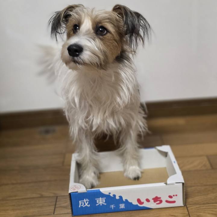 446e65ed 5195 419f 9a34 d5770e1266b9 1769076575641