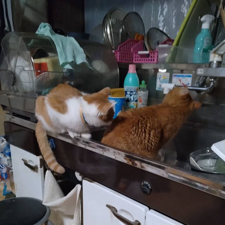 446eca8c cc01 4cdc 9ce1 924db8fb5175 1733274617180