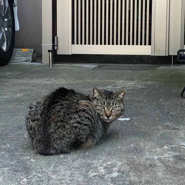 446eee70 e788 497c ad27 d939d0ed587b 1589720310175