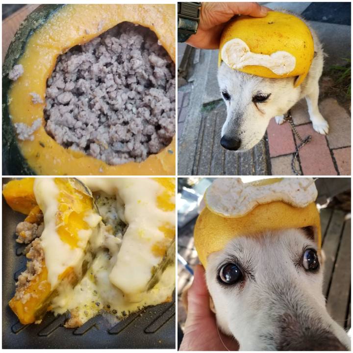 446f5dd2 19bd 4aad bd4d 3051dcd52fe0 1753153408548