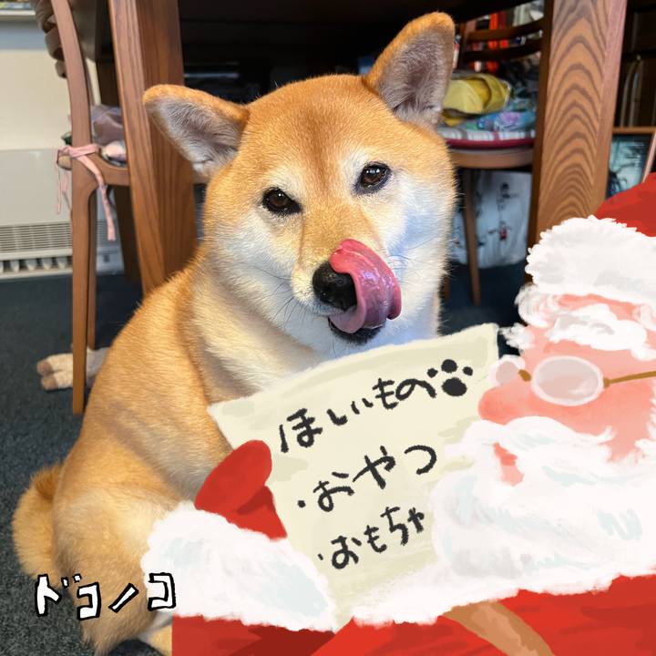 446f6020 9160 4e4a a321 22bd9491ab3e 1729066346277