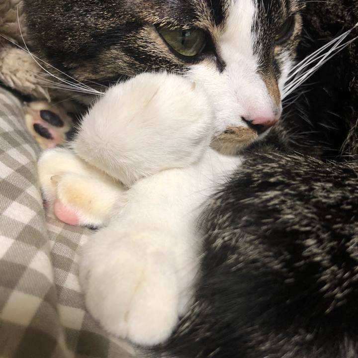 446f786f a2c7 4a32 9585 c91fe67034a4 1550572069707