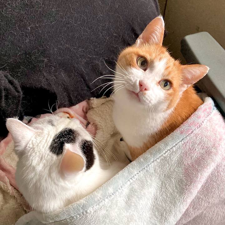 446fa6ae 8f85 458b 8835 74952f277623 1667609052393