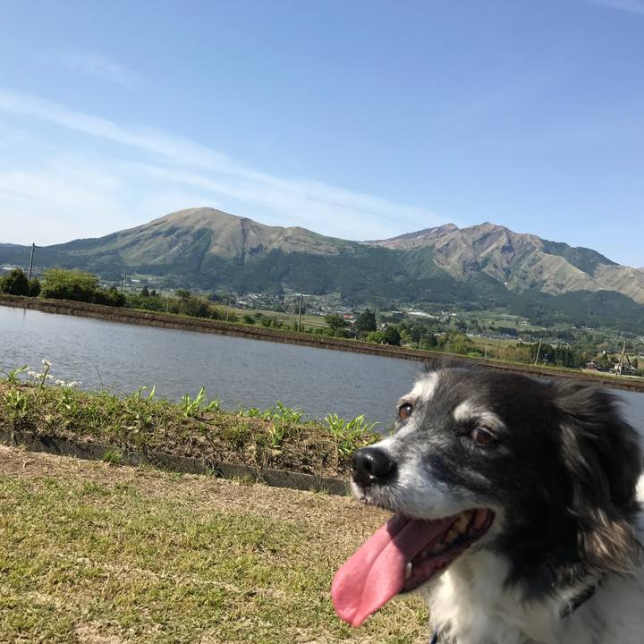 446fc154 3bec 45b1 a322 fc54046642bb 1526025294202