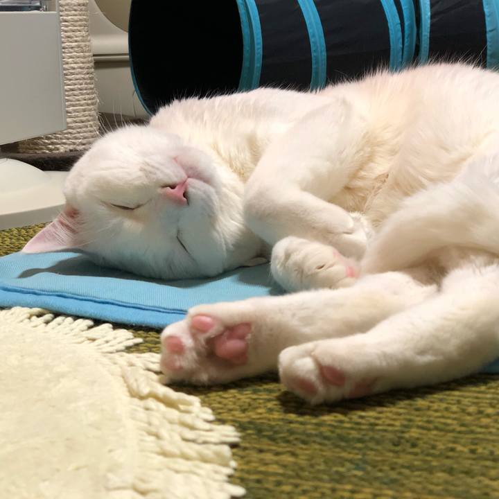 446fc7bc 3d1c 44e3 836c b462387c9cf3 1556512115852