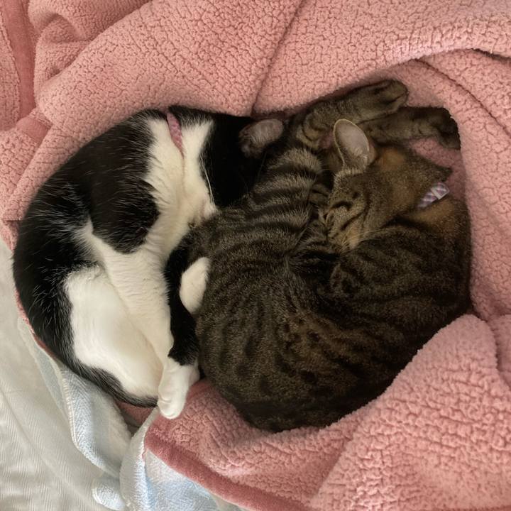 446fe194 1663 488f 90c2 6f2beb275e96 1634878268897