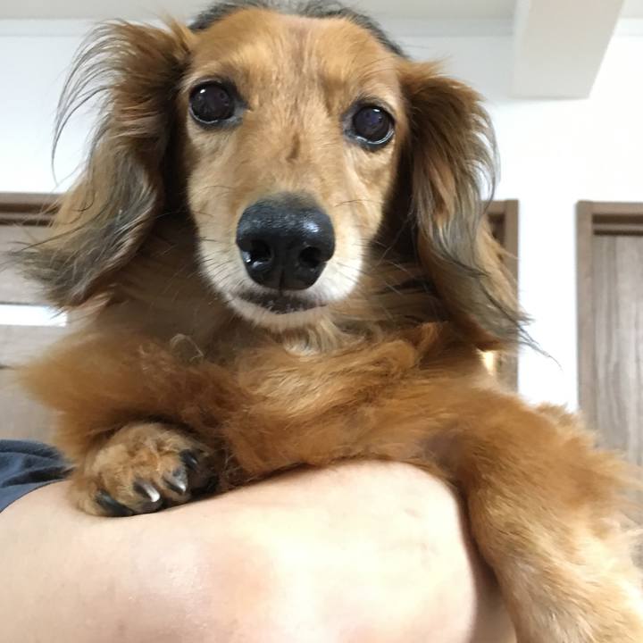 446fe714 b57c 45a0 a186 f369211e7fe3 1562249888158